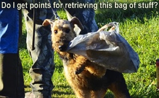 Bag of stuff _DSC3637.jpg
