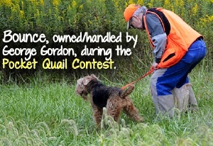 Bounce, owned-handled by George Gordon during the Pocket Quail Contest.jpg