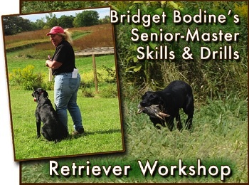 Bridget Bodine's Sr-Master Skills & Drills Retriever Workshop.jpg