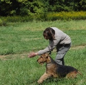 Bruce - owned-handled by Chris Halvorson.jpg