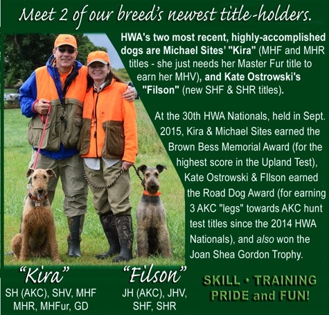 FEATURED AIREDALE TERRIER TITLE ACHIEVEMENTS