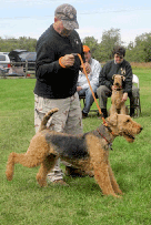 Graham Sharp workshop achievements