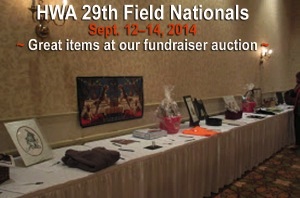 HWA fundraiser auction 2014.jpg