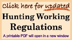 HW updated regulations click here.jpg