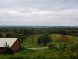 IMG_0371