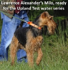 Lawrence Alexander's Milo, ready for the Upland Test water series.jpg