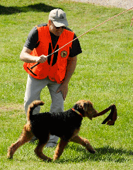 Stew Tardiff tests a pup