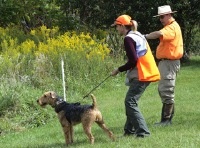 Triumph, with owner-handler Patricia Gintilas - ready for the Pocket Quail Contest.jpg