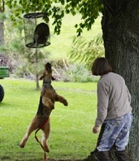 _DSC2748 bark-a-thon.jpg