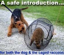 Training Safety - an exciting introduction!