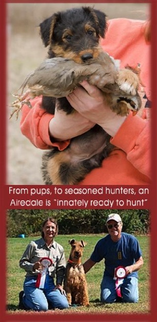 Innately Ready to Hunt
